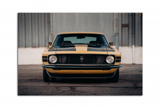 Картина Ford Mustang